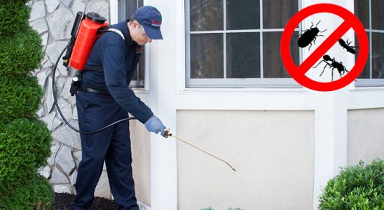 Mudanya Akrep İlaçlama böcek ilaçlama ve haşere kontrolü — ilaclama-tr.com